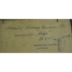 Михайлин И. А. Астры