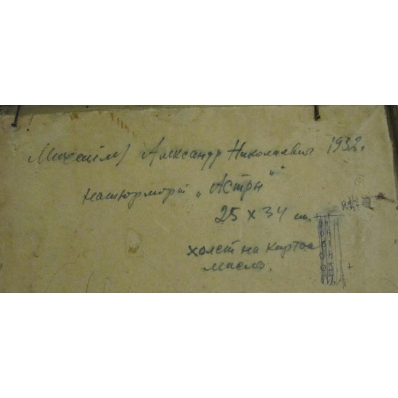 Михайлин И. А. Астры