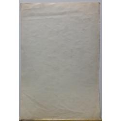 Филимонов А.И. Около дома