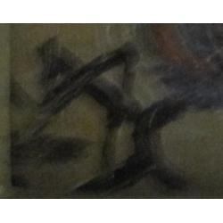 Костромитин А. Н. Розы
