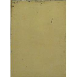 Королев А. Л. Полевые цветы