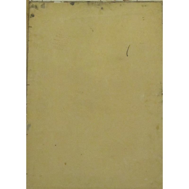 Королев А. Л. Полевые цветы