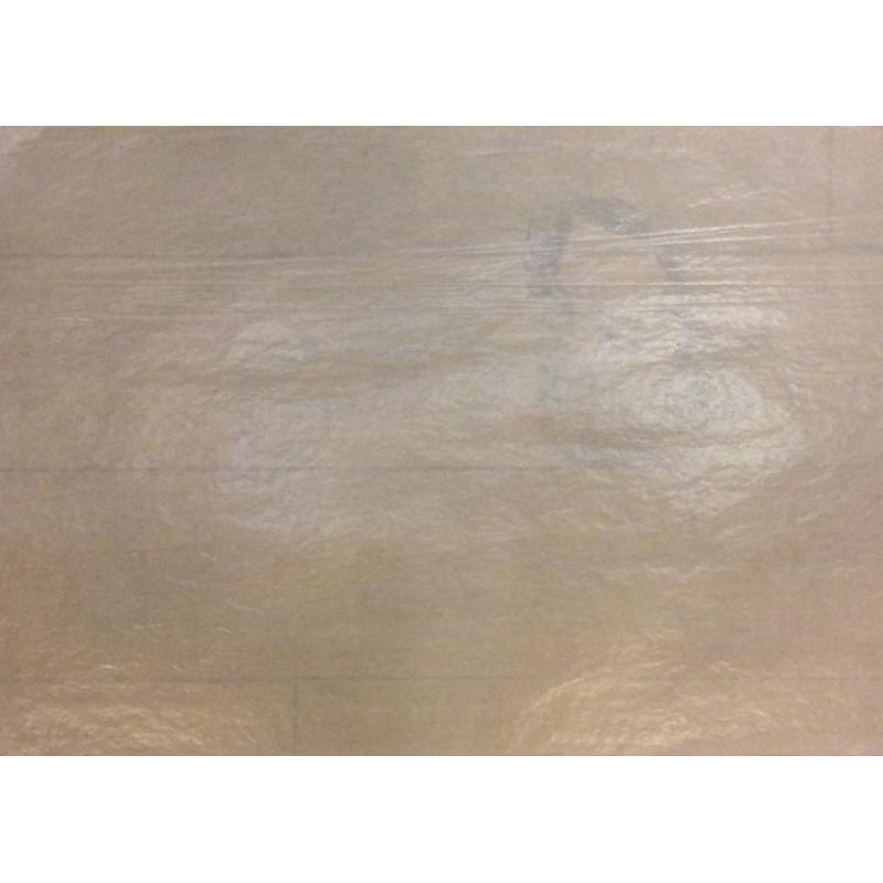 Ванеев П. И. Женский портрет