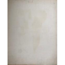 Неизвестный художник Стол