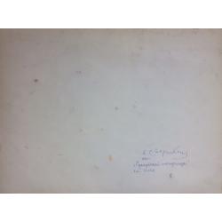 Зернова Е. С. Разноцветный натюрморт