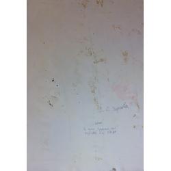 Зернова Е. С. Цветы