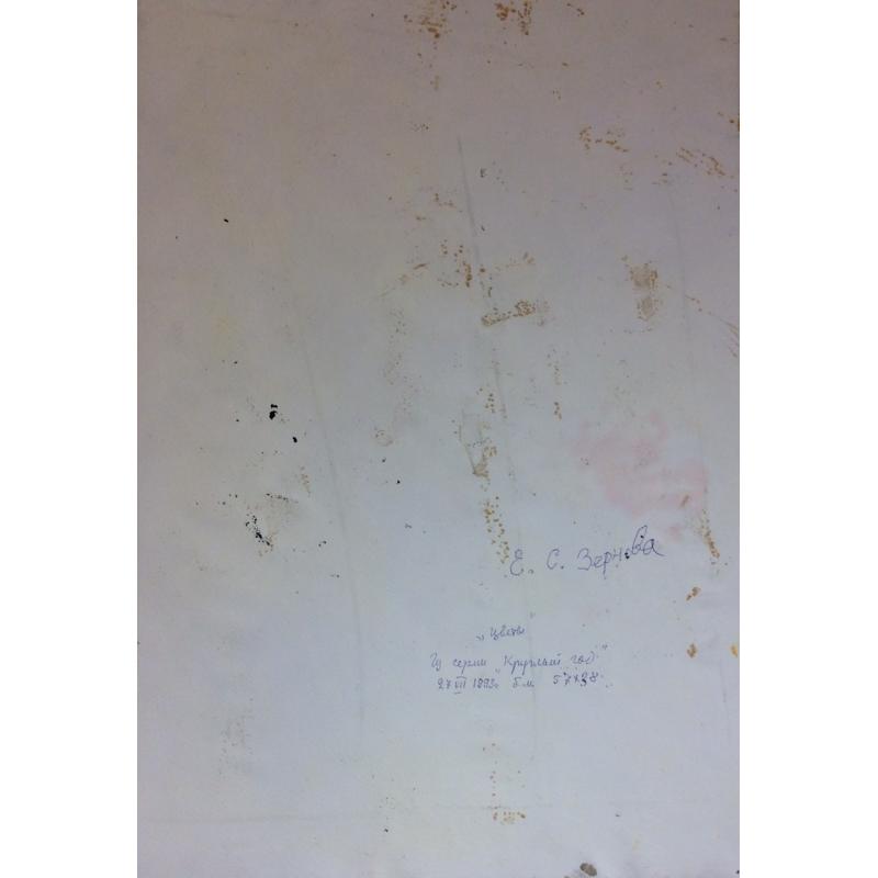 Зернова Е. С. Цветы