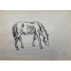 Кончаловский М.П. Пасущаяся лошадь