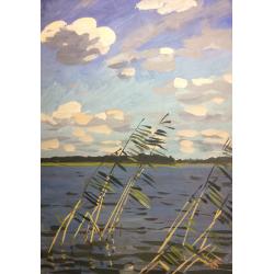 Красковский С.С. Камыш