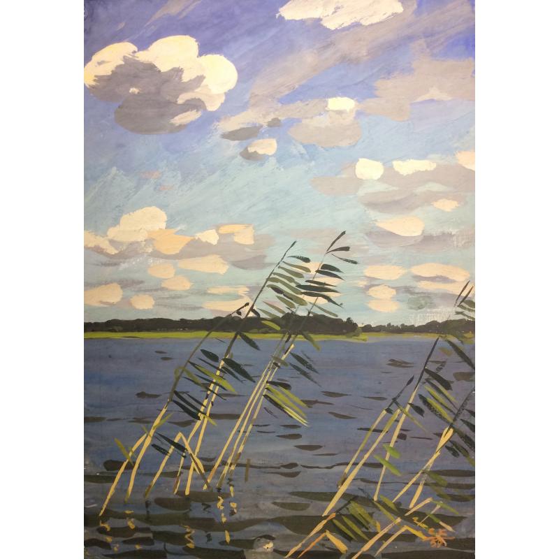 Красковский С.С. Камыш