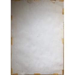 Карамушко Л.С.  «Гуси»