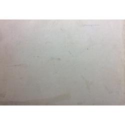 Ванециан А.В. Смешанный лес