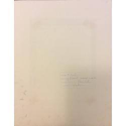 Зеброва Т.А. Иллюстрация к 7 странице детской книги Пляшет, пляшет Илемби Сарби Р.