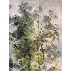 Кибардин Г. В. Деревья