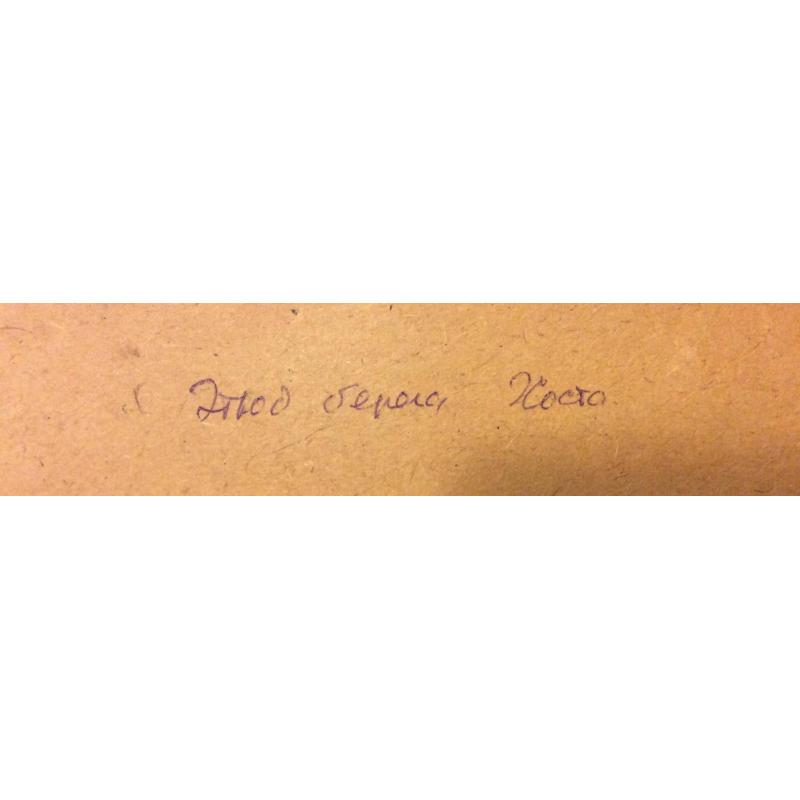 Зернова Е. С. Этюд берега. Хоста