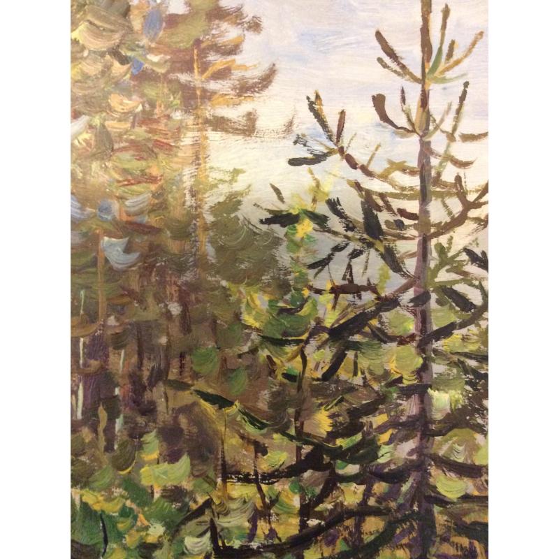 Зернова Е. С. Ёлочки