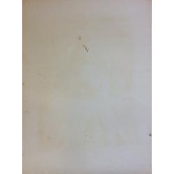 Матюх В. Ф. Мать и дитя