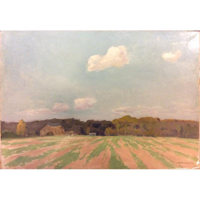 Каманин С.М. Озимь(пашня)