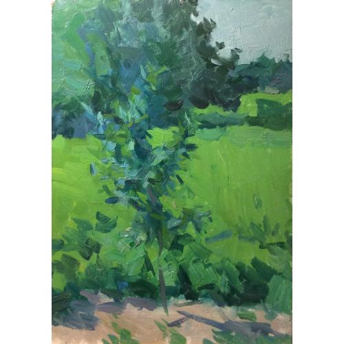 Федоров В. Г. Этюд.