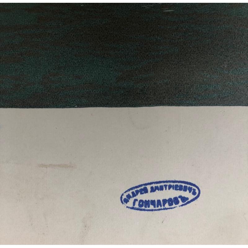 Гончаров А.Д. Здесь были немцы