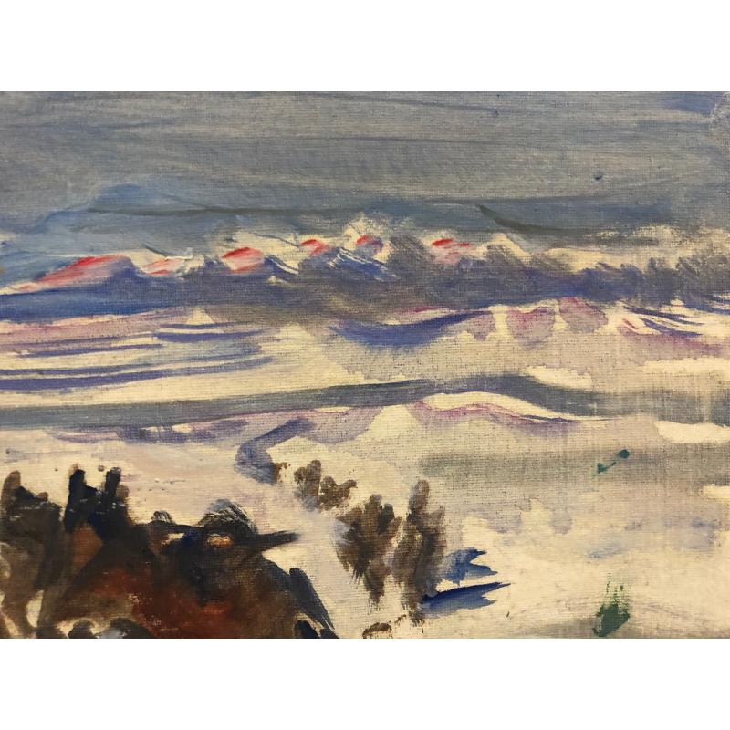 Павлов О.Б. Партизаны 1812 года