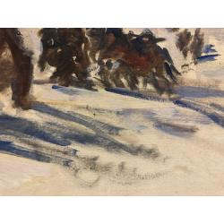 Павлов О.Б. Партизаны 1812 года