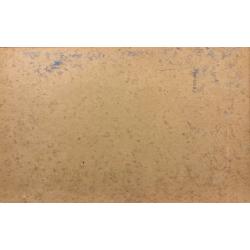 Павлов О.Б. Партизаны 1812 года