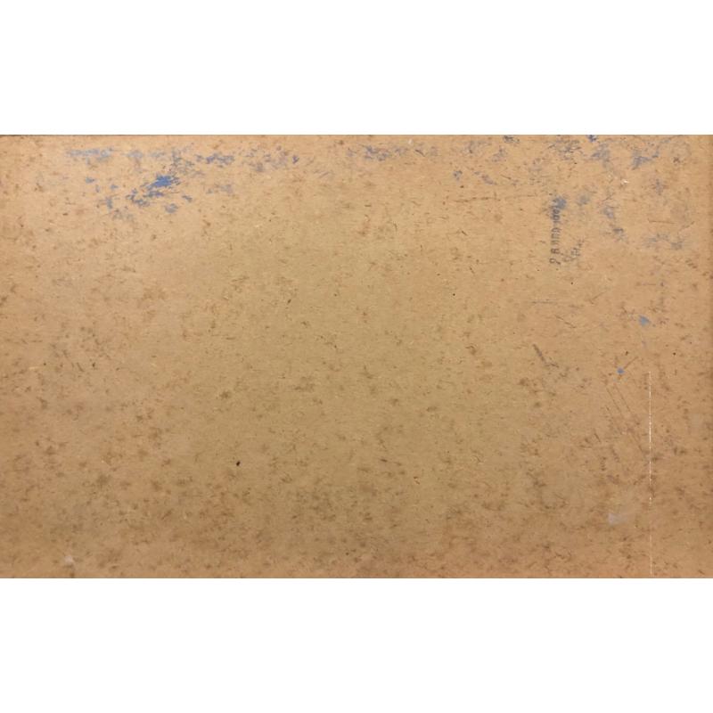 Павлов О.Б. Партизаны 1812 года