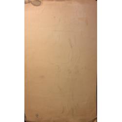 Обручева Н. Н. Карузин нам читал не раз про детский мозг и женский таз