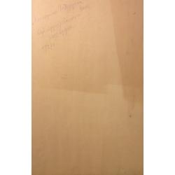 Обручева Н. Н. Эскиз костюма.К спектаклю Наследники Рабурдэна