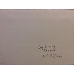 Костенко К.Е. Северный Донец