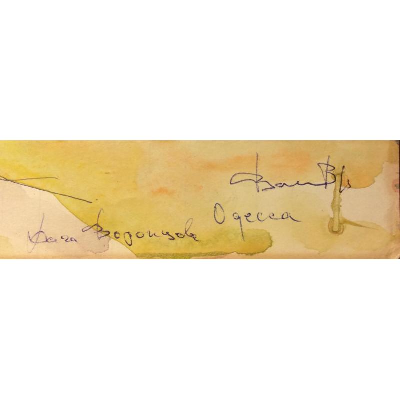 Васин В. А. Дача Воронцова. Одесса