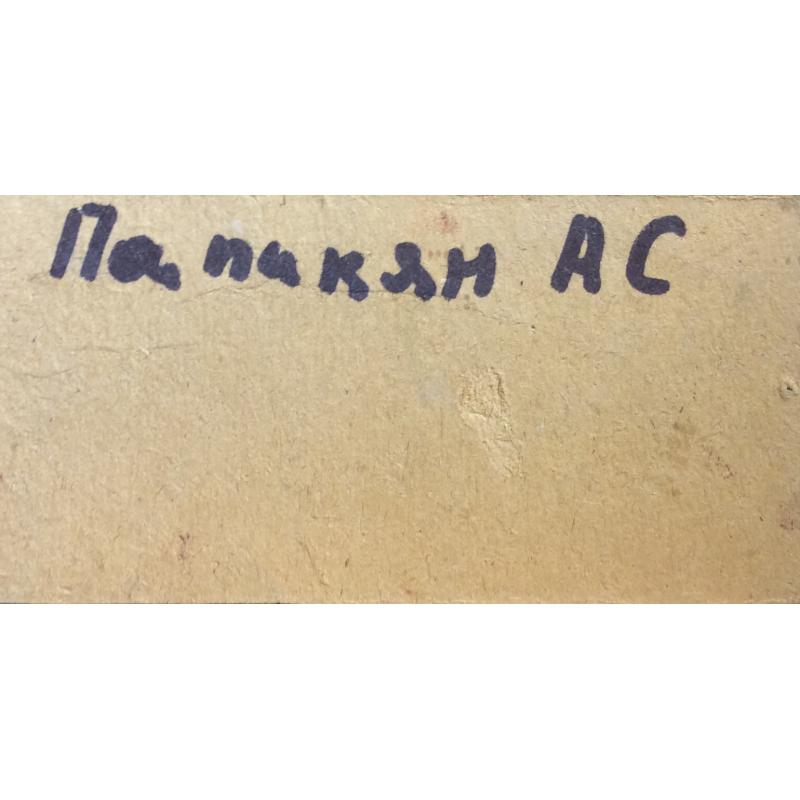 Папикян А. С. Портрет мальчика