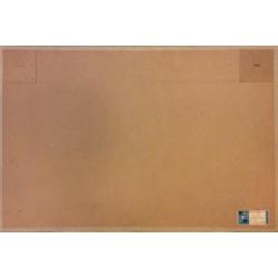 Миньков Д. А., Романов М. В. К Ленину