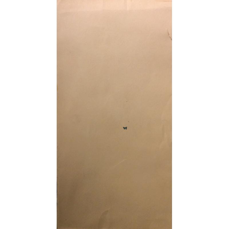 Зернова Е. С. Дети с мячами