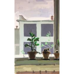 Титов А. М. Комнатные растения на окне
