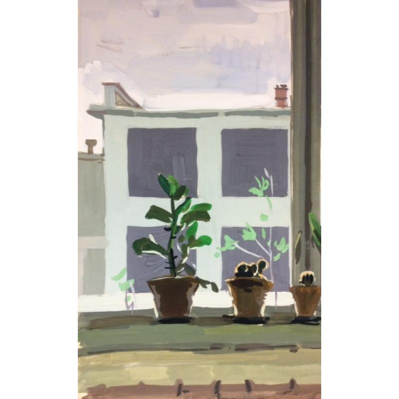 Титов А. М. Комнатные растения на окне