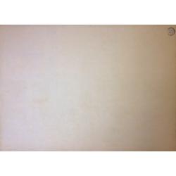 Титов А. М. Комнатные растения на окне