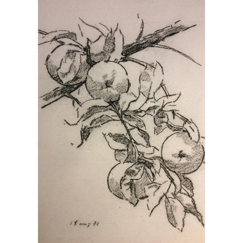 Ванеев П. И. Яблоки на ветке