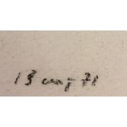 Ванеев П. И. Яблоки на ветке