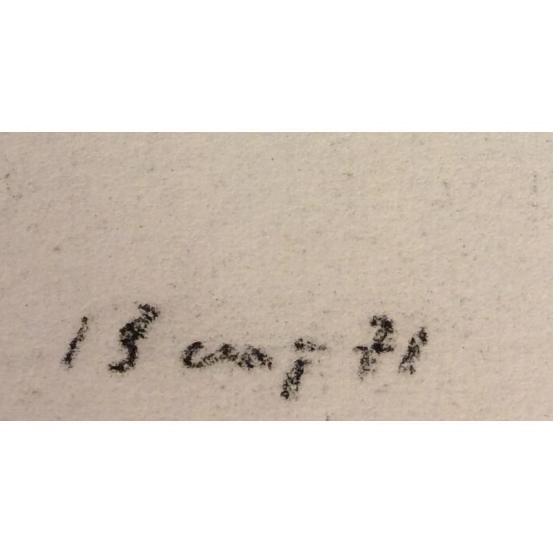 Ванеев П. И. Яблоки на ветке