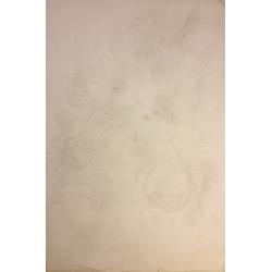 Ванеев П. И. Яблоки на ветке