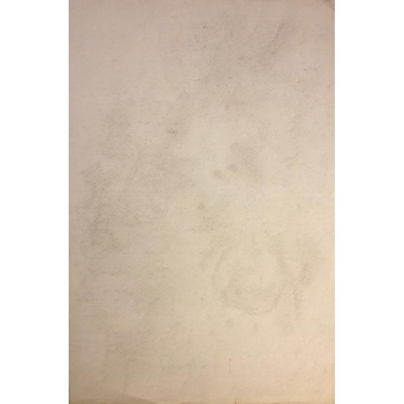 Ванеев П. И. Яблоки на ветке