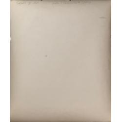 Соломонов А. М. Фотография Борьба за мяч