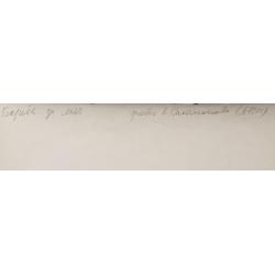 Соломонов А. М. Фотография Борьба за мяч