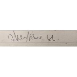 Неизвестный Э.И. Сон