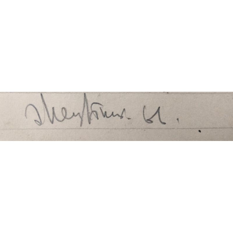 Неизвестный Э.И. Сон