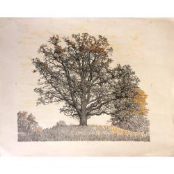 Ванеев П. И. Дерево