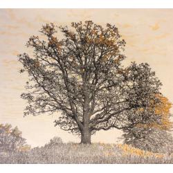 Ванеев П. И. Дерево