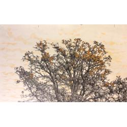 Ванеев П. И. Дерево